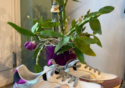 Moderne Sneaker mit Pflanze im Hintergrund